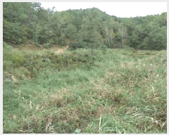  2025Ÿ��289 ���� ������ �׿ո� ���̸� ��98      ����(�Ӿ�)���