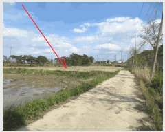  2025Ÿ10239     620      ()