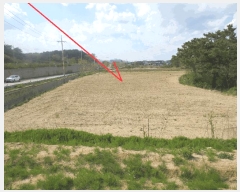  2025Ÿ10239     620      ()