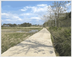  2025Ÿ10239     620      ()