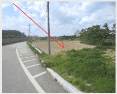  2025Ÿ10239     620      ()