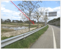  2025Ÿ10239     620      ()