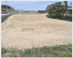  2025Ÿ10239     620      ()