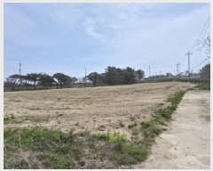  2025Ÿ10239     620      ()