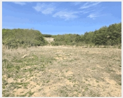  2025Ÿ��10241  �����