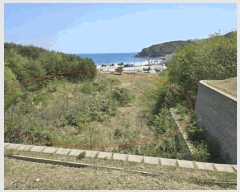  2025Ÿ��10241  �����