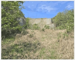  2025Ÿ��10241  �����