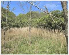  2025Ÿ��10241  �����