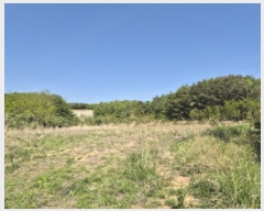  2025Ÿ��10241  �����