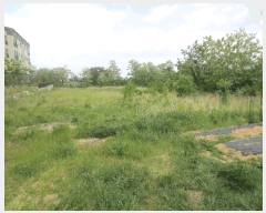  2025Ÿ10255  ʽ е 1000-523       ()