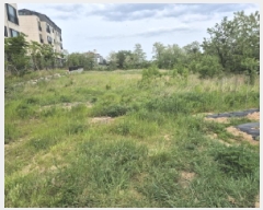  2025Ÿ10255  ʽ е 1000-523       ()