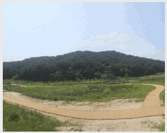  2025Ÿ��10257 ���� ������ ������ ȭ���� ��26      ����(����)���