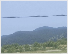  2025Ÿ��10257 ���� ������ ������ ȭ���� ��26      ����(����)���