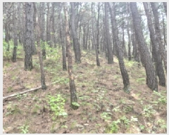  2025Ÿ��10257 ���� ������ ������ ȭ���� ��26      ����(����)���