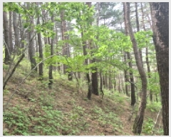  2025Ÿ��10257 ���� ������ ������ ȭ���� ��26      ����(����)���