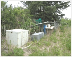  2025Ÿ��10263 ���� ������ �伺�� ��ϸ� ��48      ����(�Ӿ�)���