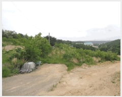  2025Ÿ��10263 ���� ������ �伺�� ��ϸ� ��48      ����(�Ӿ�)���