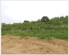  2025Ÿ��10263 ���� ������ �伺�� ��ϸ� ��48      ����(�Ӿ�)���