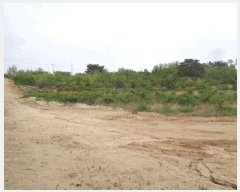  2025Ÿ��10263 ���� ������ �伺�� ��ϸ� ��48      ����(�Ӿ�)���