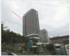  2025Ÿ10271  ʽ 絿 1493-7 ׶ 14 1411ȣ    ܵ(ȣ)