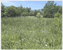  2025Ÿ10281  ʽ е 524       ()