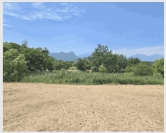  2025Ÿ10281  ʽ е 524       ()