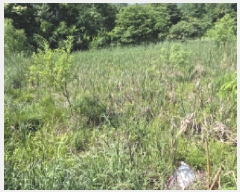  2025Ÿ10281  ʽ е 524       ()