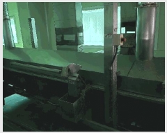  2025Ÿ��10303  ������