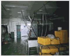  2025Ÿ��10303  ������