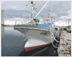  2025Ÿ��10307  ���ڰ��