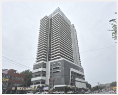  2025Ÿ��10311  �ܵ�(ȣ��)���