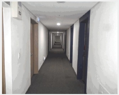  2025Ÿ��10313 ���� ���ʽ� ���絿 1429-1 �ſ����̶��������ǽ��� 7�� 815ȣ    ���ǽ��ڰ��