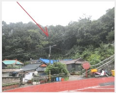  2025Ÿ��10355 ���� ������ ������ ������ 180-2      ����(�Ӿ�)���