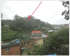  2025Ÿ��10355 ���� ������ ������ ������ 180-2      ����(�Ӿ�)���