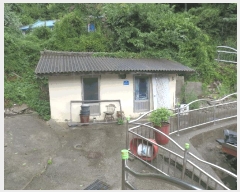  2025Ÿ��10355 ���� ������ ������ ������ 180-2      ����(�Ӿ�)���