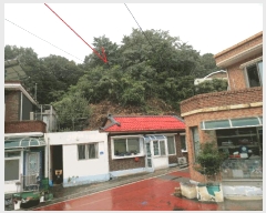  2025Ÿ��10355 ���� ������ ������ ������ 180-2      ����(�Ӿ�)���