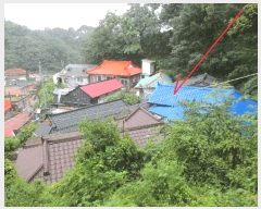  2025Ÿ��10355 ���� ������ ������ ������ 180-2      ����(�Ӿ�)���