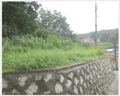  2025Ÿ��10355 ���� ������ ������ ������ 180-2      ����(�Ӿ�)���