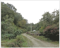  2025Ÿ��10369  �����