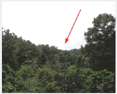  2025Ÿ��10369  �����