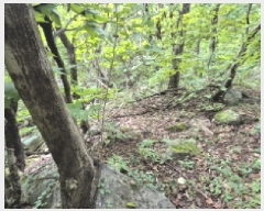  2025Ÿ��10369  �����