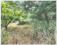  2025Ÿ��10379 ���� ��籺 �վ�� ��ȣ�� 368      ����(��1)���