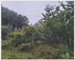  2025Ÿ��10379 ���� ��籺 �վ�� ��ȣ�� 368      ����(��1)���