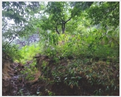  2025Ÿ��10379 ���� ��籺 �վ�� ��ȣ�� 368      ����(��1)���