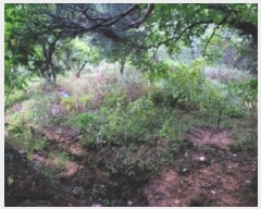  2025Ÿ��10379 ���� ��籺 �վ�� ��ȣ�� 368      ����(��1)���