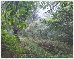  2025Ÿ��10379 ���� ��籺 �վ�� ��ȣ�� 368      ����(��1)���