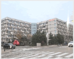  2025Ÿ��10393 ���� ���ʽ� ���絿 1558-2 ���ʸ��������� 4�� 441ȣ    �ܵ�(ȣ��)���