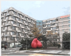  2025Ÿ��10393 ���� ���ʽ� ���絿 1558-2 ���ʸ��������� 4�� 441ȣ    �ܵ�(ȣ��)���