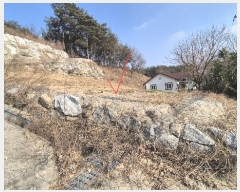  2025Ÿ��63 ���� ��籺 ������ ���ڸ� 121-4      ����(����)���