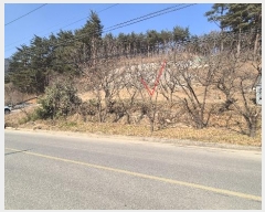  2025Ÿ��63 ���� ��籺 ������ ���ڸ� 121-4      ����(����)���